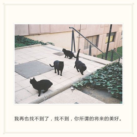 唯美图片，文字图片，动漫图片，情侣图片,qqqqp.com