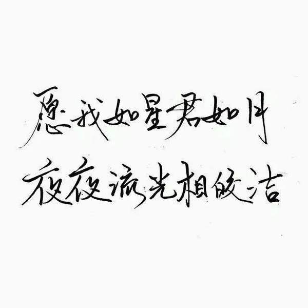 唯美图片，文字图片,情侣图片qqqqp