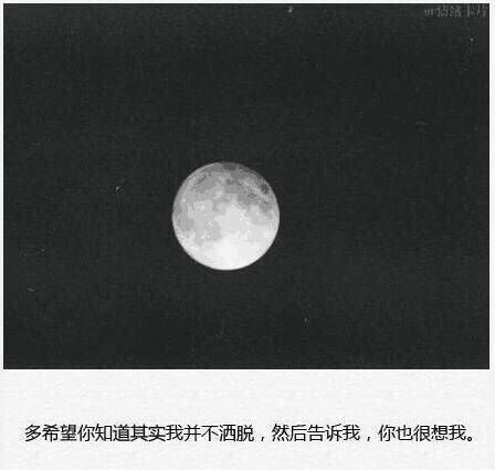 我曾踏月而来 只因你在山中 　