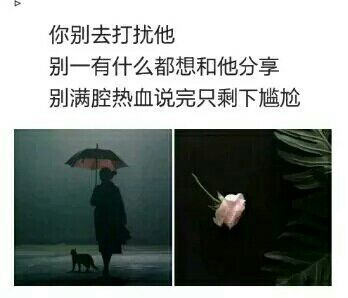 唯美图片，文字图片,情侣图片qqqqp