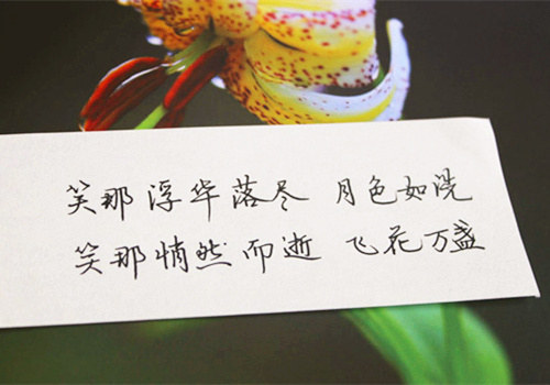 唯美图片，文字图片,情侣图片qqqqp