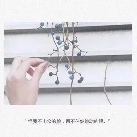 唯美图片，文字图片,情侣图片qqqqp