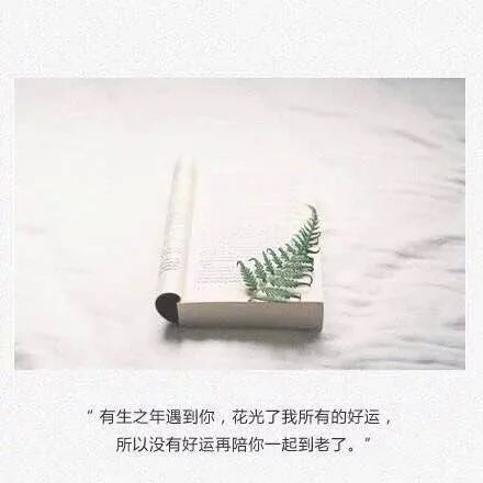 唯美图片，文字图片,情侣图片qqqqp