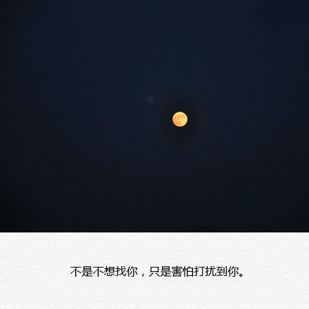 唯美图片，文字图片，动漫图片，情侣图片,qqqqp.com