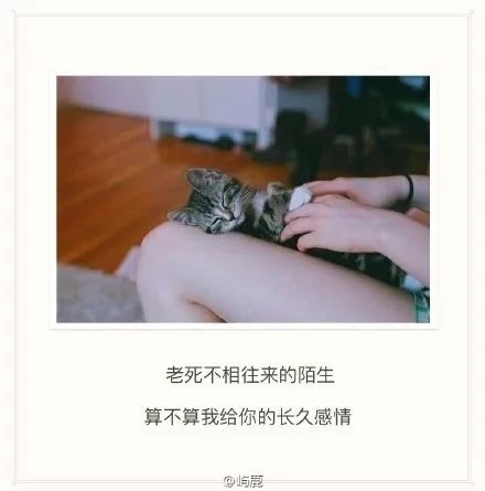 唯美图片，文字图片，动漫图片，情侣图片,qqqqp.com