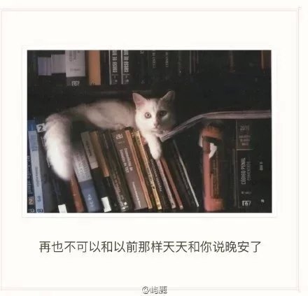 唯美图片，文字图片，动漫图片，情侣图片,qqqqp.com