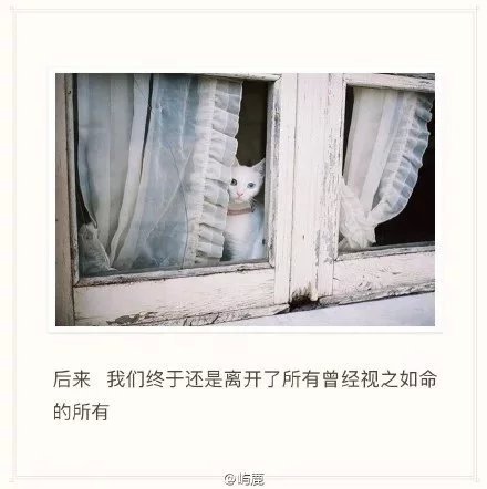 唯美图片，文字图片，动漫图片，情侣图片,qqqqp.com