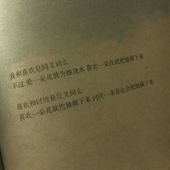 唯美图片，文字图片,情侣图片qqqqp