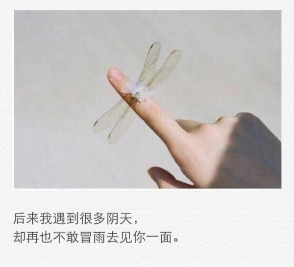 唯美图片，文字图片,情侣图片qqqqp
