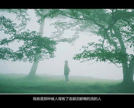 唯美图片，文字图片,情侣图片qqqqp