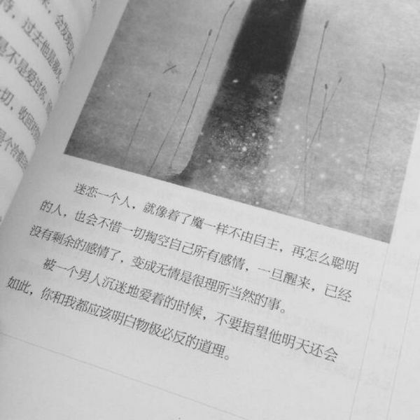 唯美图片，文字图片,情侣图片qqqqp