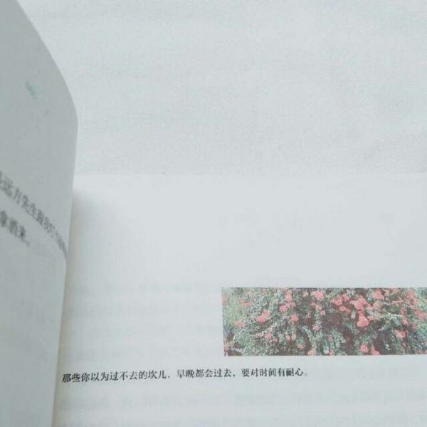 唯美图片，文字图片,情侣图片qqqqp