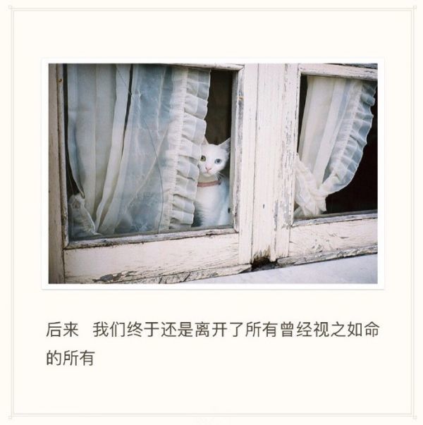 唯美图片，文字图片,情侣图片qqqqp