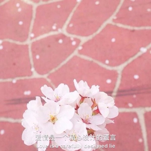 唯美图片，文字图片,情侣图片qqqqp