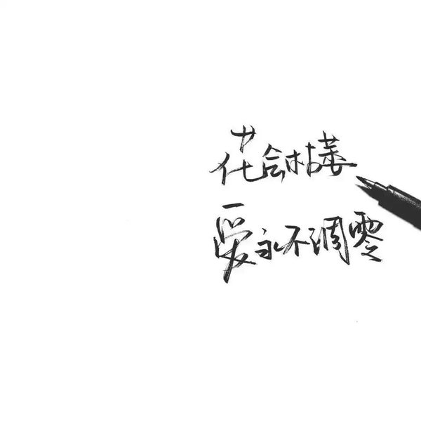 故事要美，但必须藏着真话