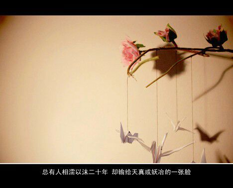 唯美图片，文字图片,情侣图片qqqqp
