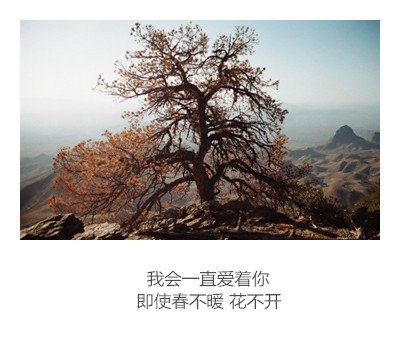 那一年你的微笑，慌乱了我的青春