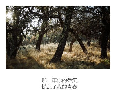 唯美图片，文字图片，动漫图片，情侣图片,qqqqp.com