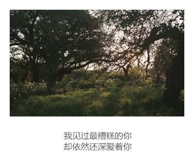 唯美图片，文字图片，动漫图片，情侣图片,qqqqp.com