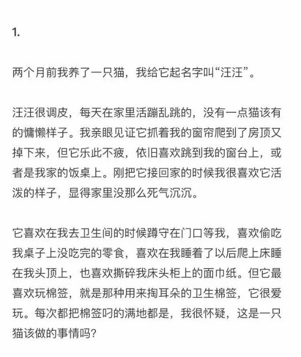 陪伴比懂你重要，忍让比合适重要