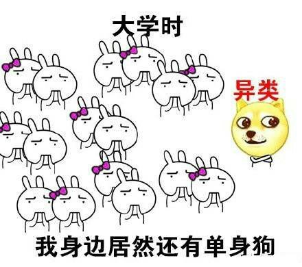 我招谁惹谁了哦？