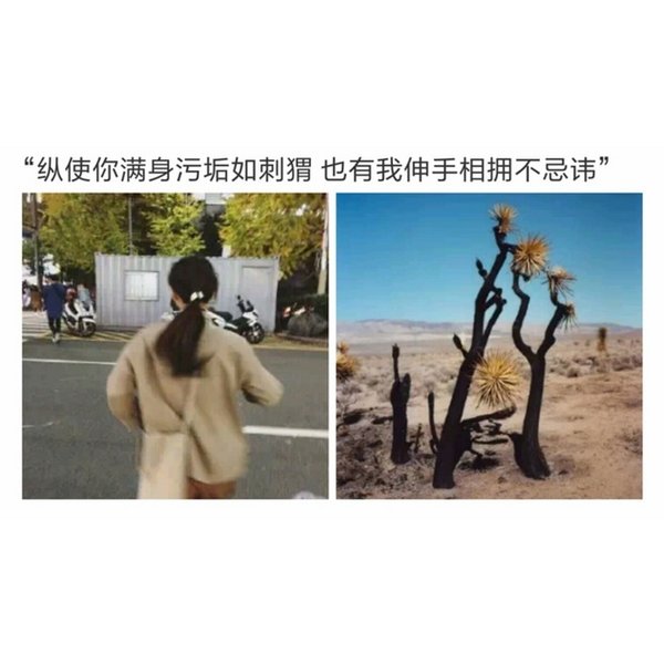 唯美图片，文字图片,情侣图片qqqqp