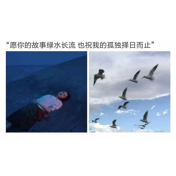 唯美图片，文字图片,情侣图片qqqqp