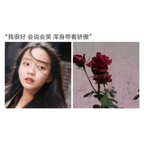 唯美图片，文字图片,情侣图片qqqqp