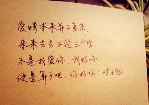 唯美图片，文字图片,情侣图片qqqqp