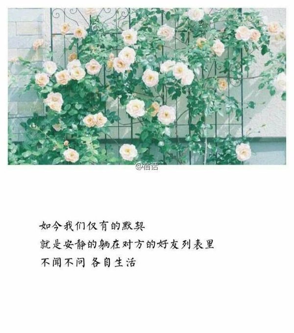 唯美图片，文字图片,情侣图片qqqqp