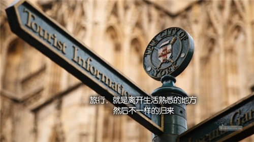 那些蠢事，一笑了之