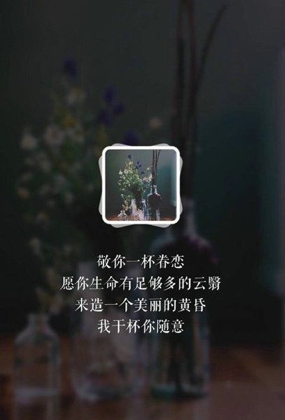 敬你一杯眷恋，我干杯，你随意