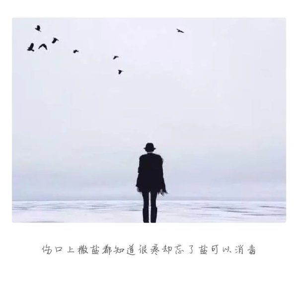 唯美图片，文字图片,情侣图片qqqqp