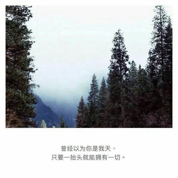 唯美图片，文字图片,情侣图片qqqqp