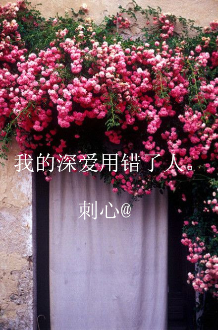 我是路人却爱你过深。
