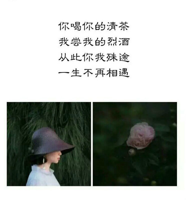 唯美图片，文字图片,情侣图片qqqqp
