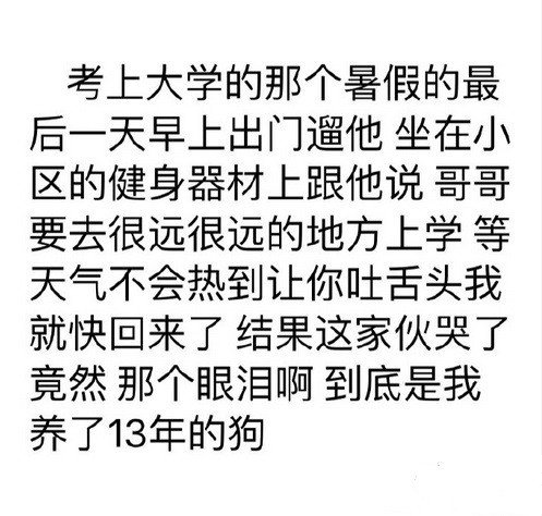 当宠物成精