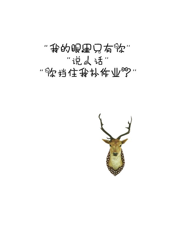 唯美图片，文字图片,情侣图片qqqqp