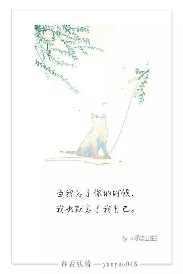 唯美图片，文字图片,情侣图片qqqqp