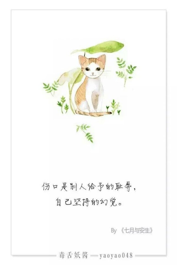 唯美图片，文字图片,情侣图片qqqqp