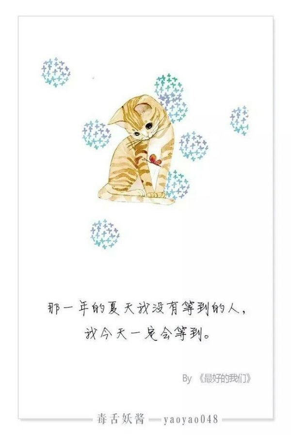 唯美图片，文字图片,情侣图片qqqqp