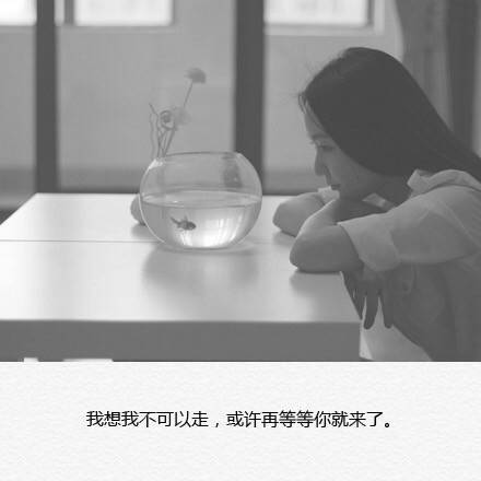 唯美图片，文字图片,情侣图片qqqqp