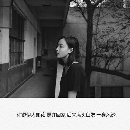 唯美图片，文字图片,情侣图片qqqqp