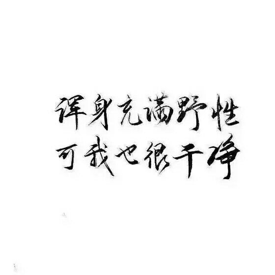 唯美图片，文字图片,情侣图片qqqqp