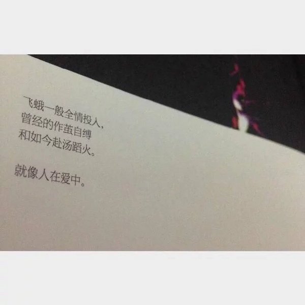 唯美图片，文字图片,情侣图片qqqqp