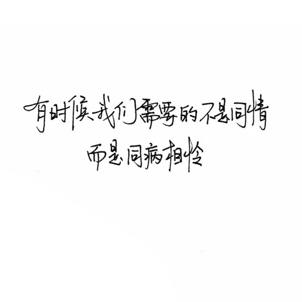 你需要的是爱和阳光