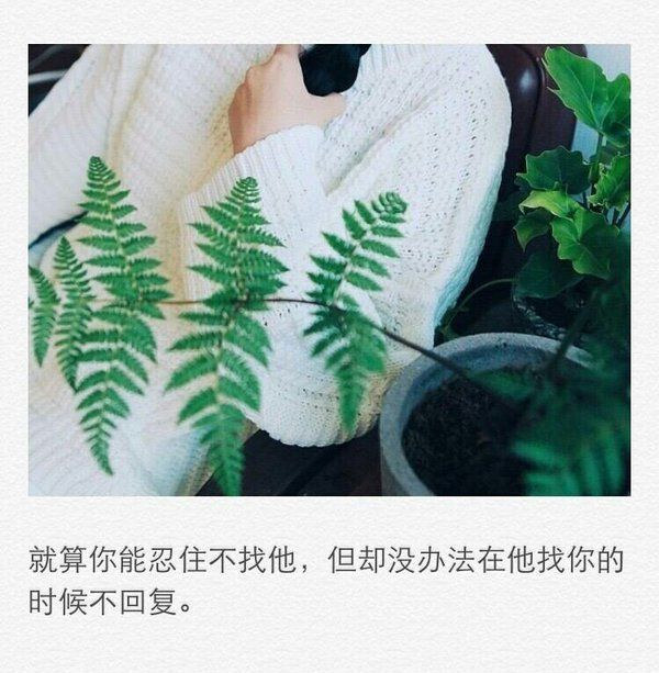 唯美图片，文字图片，动漫图片，情侣图片,qqqqp.com