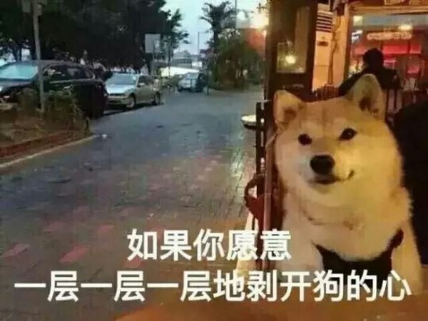送给单身狗
