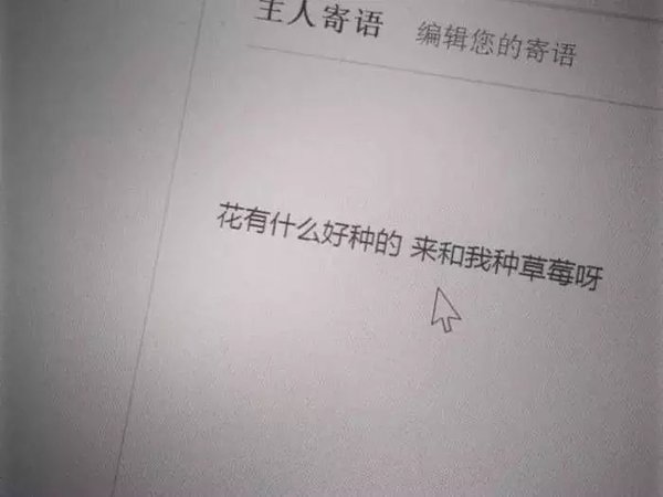 唯美图片，文字图片,情侣图片qqqqp