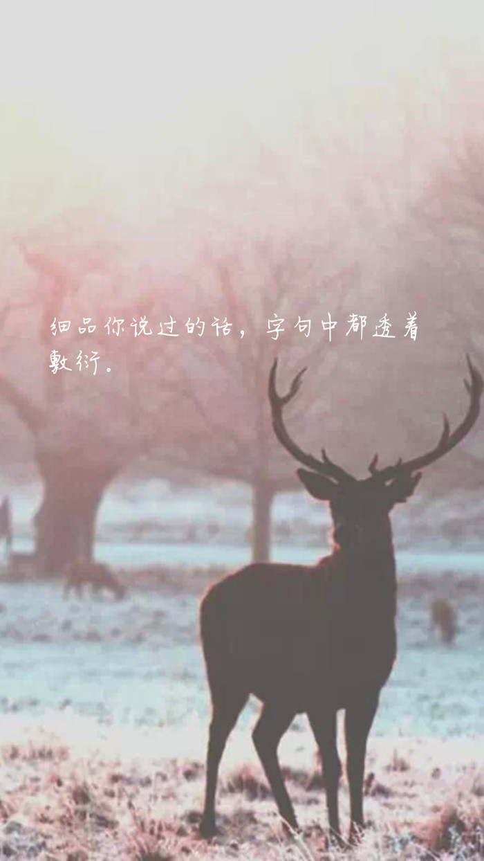 彼此梦见，代价更高贵